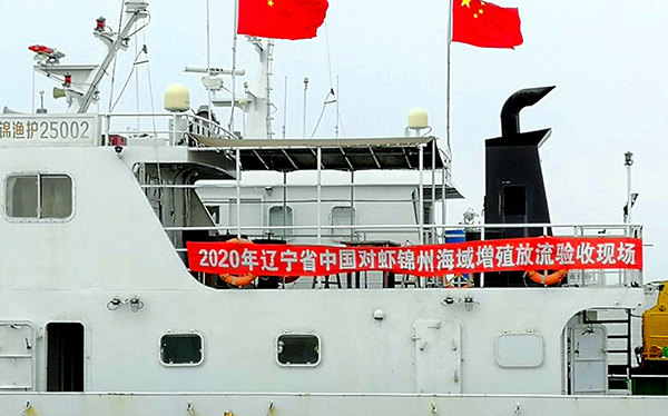 達蓮公司完成了2020年度省中國對蝦增殖放流任務(wù)